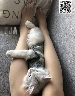 宅男午夜电影网站_BD神马在线观看